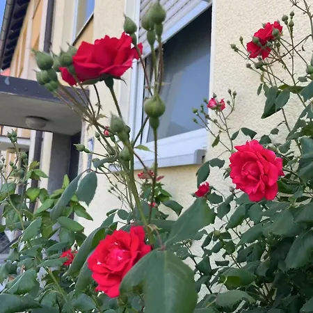 Souterrain-apartment Apartamento *